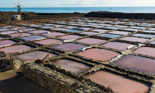 Discovery tour by minibus: Salt flats, Aloe Vera, Guayadeque and Agüimes - Gran Canaria